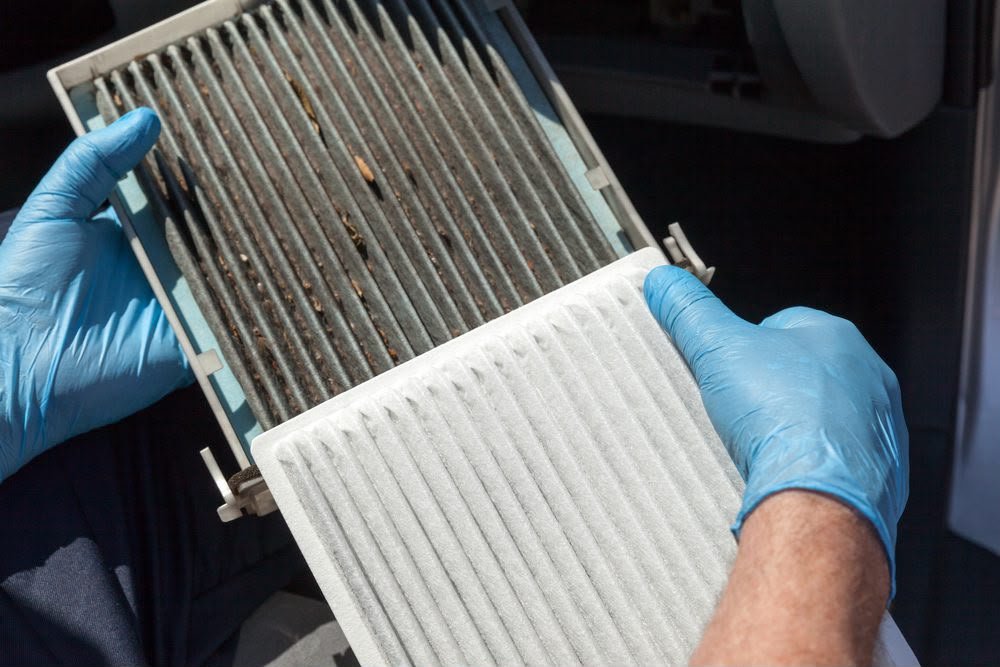 Air & Cabin Filter Replacement workshop view 2